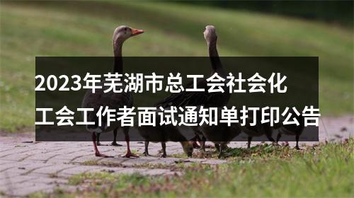 2023年芜湖市总工会社会化工会工作者面试通知单打印公告 图片