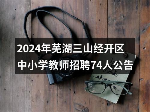 2024年芜湖三山经开区中小学教师招聘74人公告 图片
