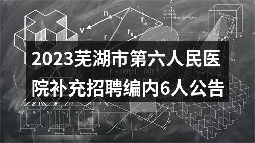 2023芜湖市第六人民医院补充招聘编内6人公告 图片