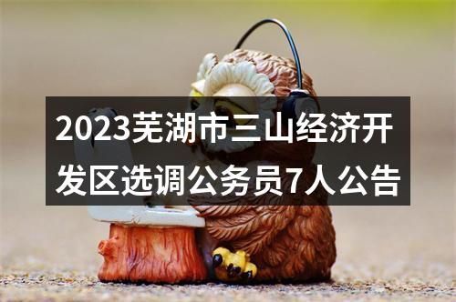 2023芜湖市三山经济开发区选调公务员7人公告 图片