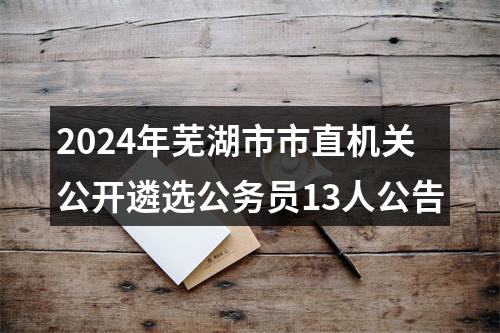 2024年芜湖市市直机关公开遴选公务员13人公告 图片
