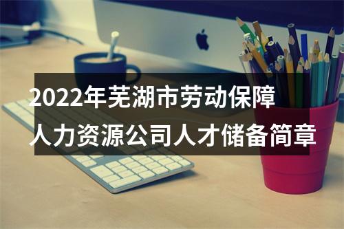 2022年芜湖市劳动保障人力资源公司人才储备简章 图片
