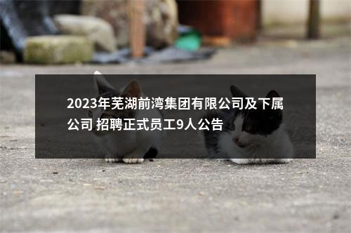 2023年芜湖前湾集团有限公司及下属公司 招聘正式员工9人公告 图片