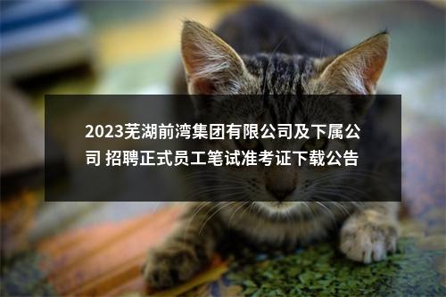 2023芜湖前湾集团有限公司及下属公司 招聘正式员工笔试准考证下载公告 图片