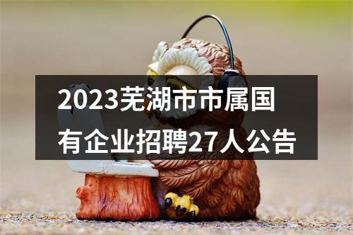 2023芜湖市市属国有企业招聘27人公告 图片