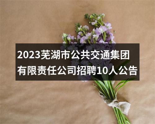 2023芜湖市公共交通集团有限责任公司招聘10人公告 图片