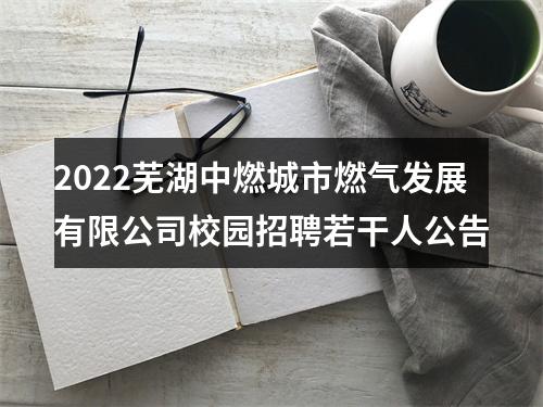 2022芜湖中燃城市燃气发展有限公司校园招聘若干人公告 图片