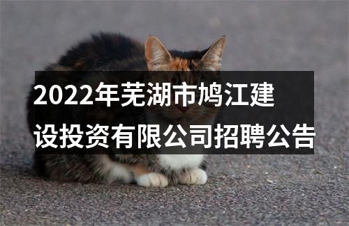 2022年芜湖市鸠江建设投资有限公司招聘公告 图片