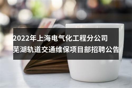 2022年上海电气化工程分公司芜湖轨道交通维保项目部招聘公告 图片