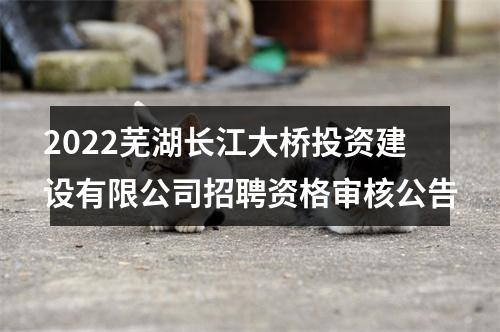 2022芜湖长江大桥投资建设有限公司招聘资格审核公告 图片