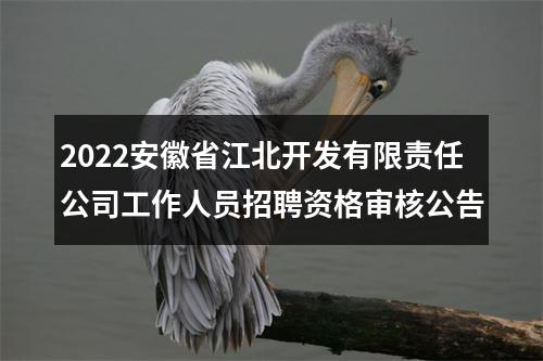 2022安徽省江北开发有限责任公司工作人员招聘资格审核公告 图片