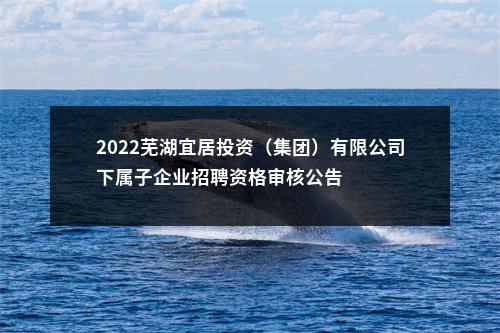 2022芜湖宜居投资（集团）有限公司下属子企业招聘资格审核公告 图片