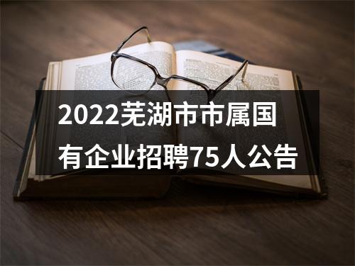 2022芜湖市市属国有企业招聘75人公告 图片