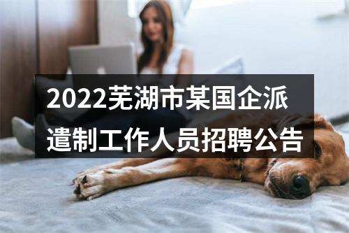 2022芜湖市某国企派遣制工作人员招聘公告 图片