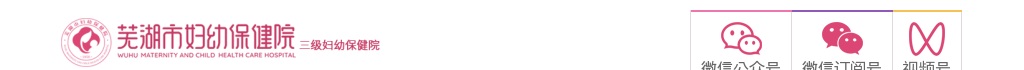 2024芜湖市妇幼保健计划生育服务中心（芜湖市妇幼保健院）公开招聘编内工作人员公告 图片